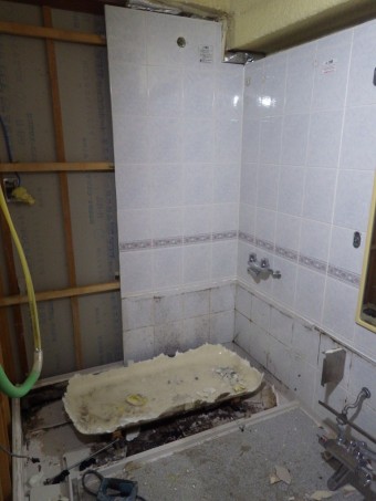 IMGP3679 IMGP3679-e1629535817803